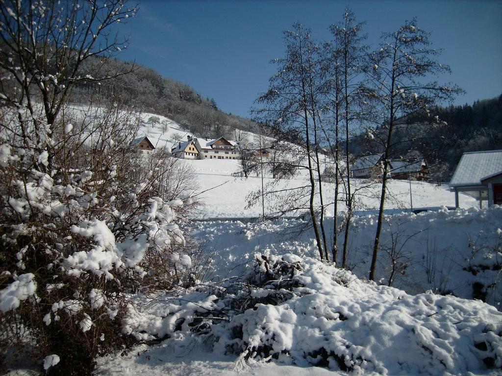 Finken, Gaestezimmer An Der Rench ออปเพอเนา ภายนอก รูปภาพ