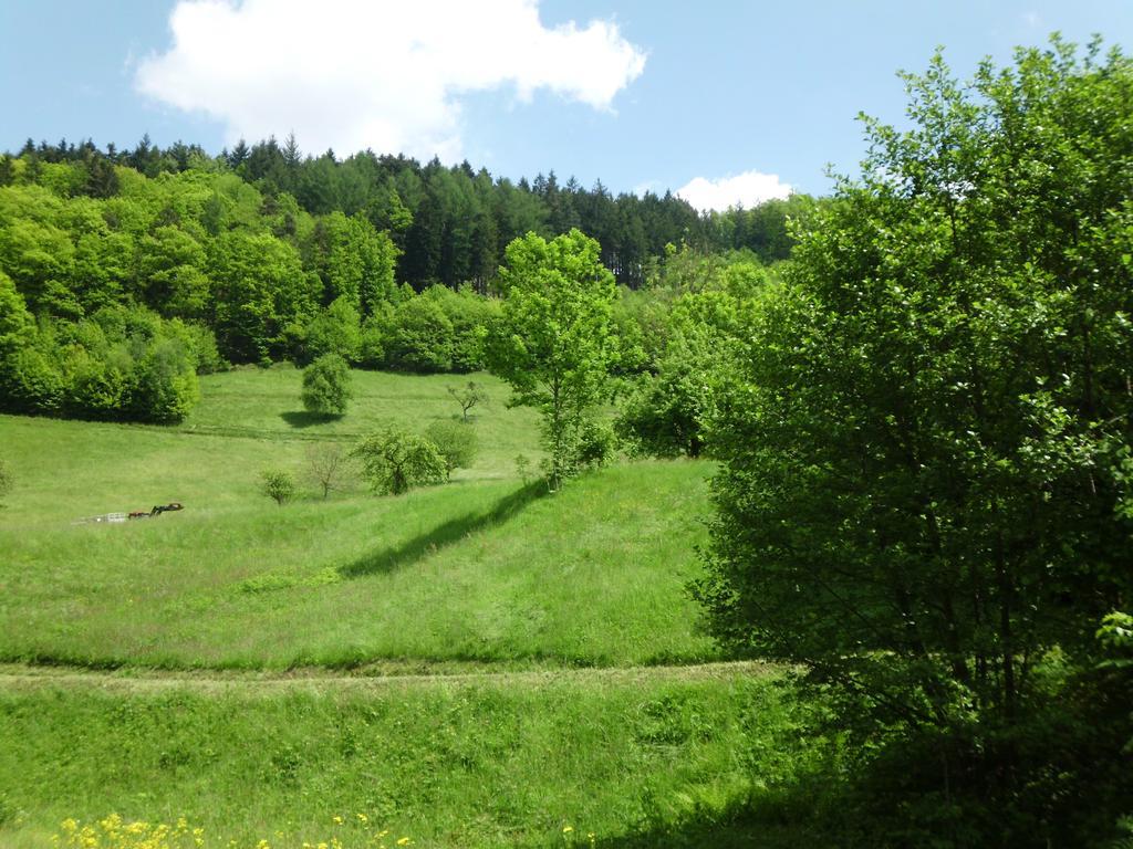Finken, Gaestezimmer An Der Rench ออปเพอเนา ภายนอก รูปภาพ